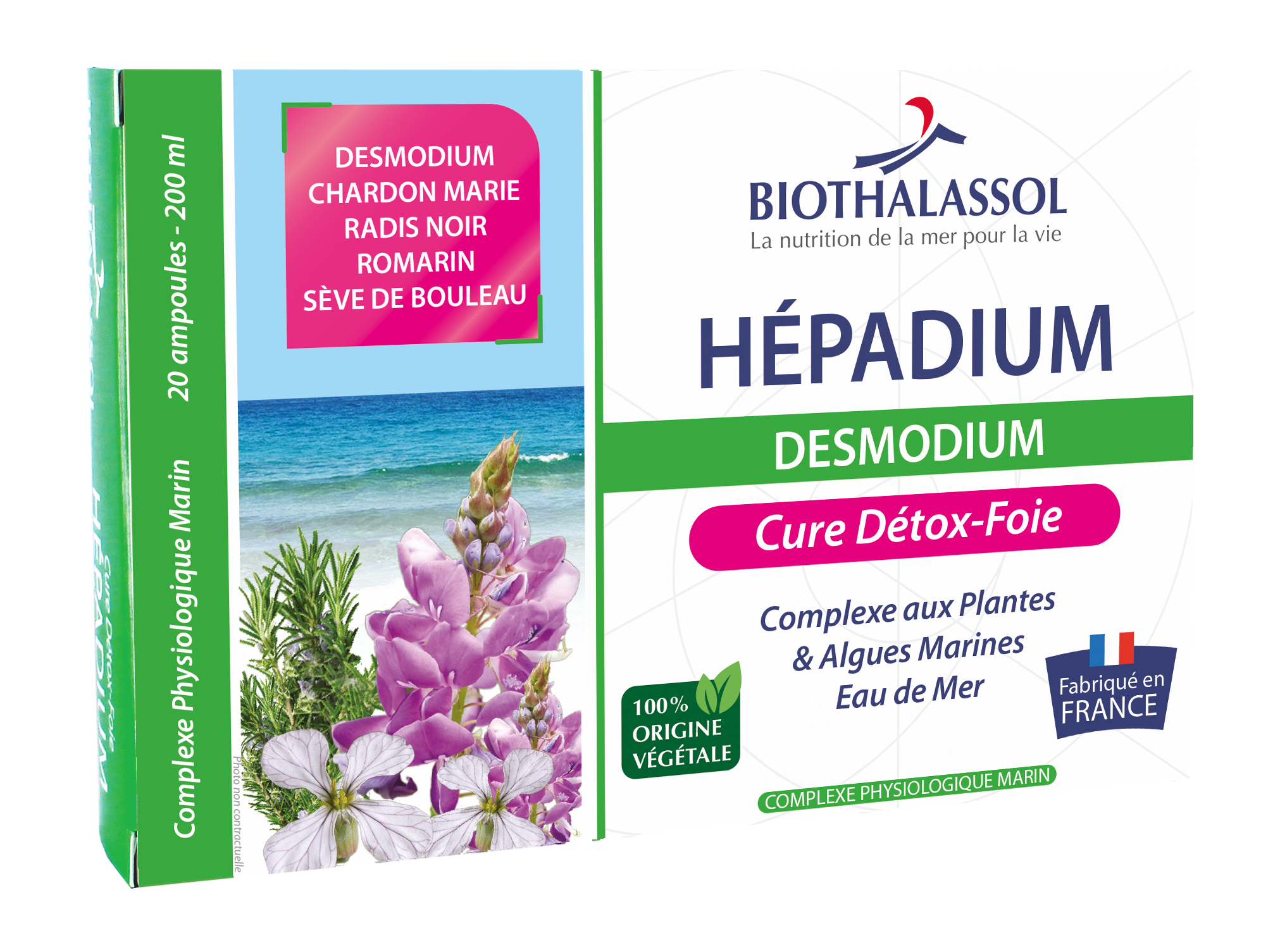 hepadium_desmo_vue_droite_1009001713