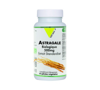 astragale_bio_500mg_60gel